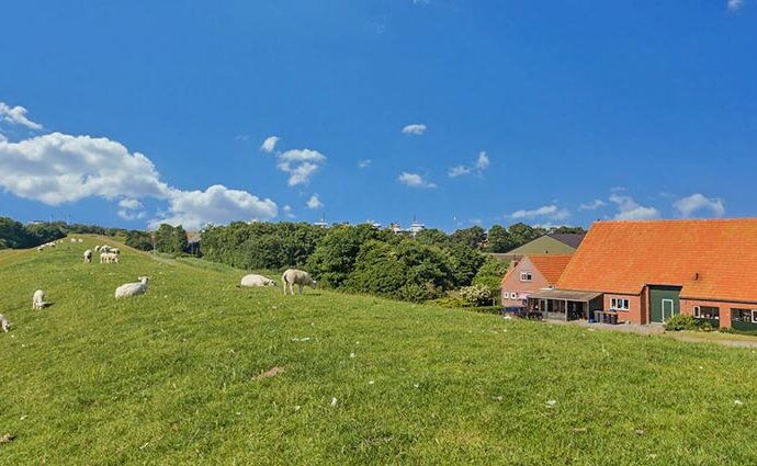 Ferienhaus auf Texel buchen