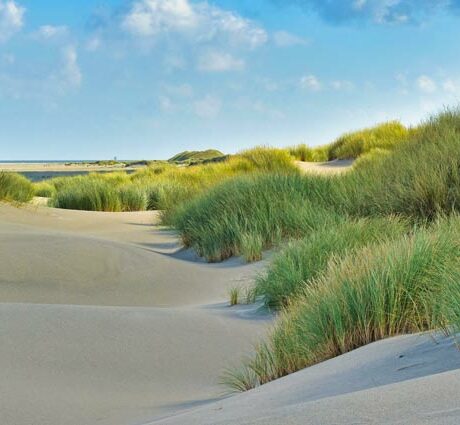 Ausflugsziele rund um Texel