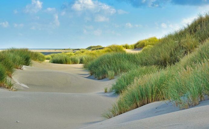 Ausflugsziele rund um Texel