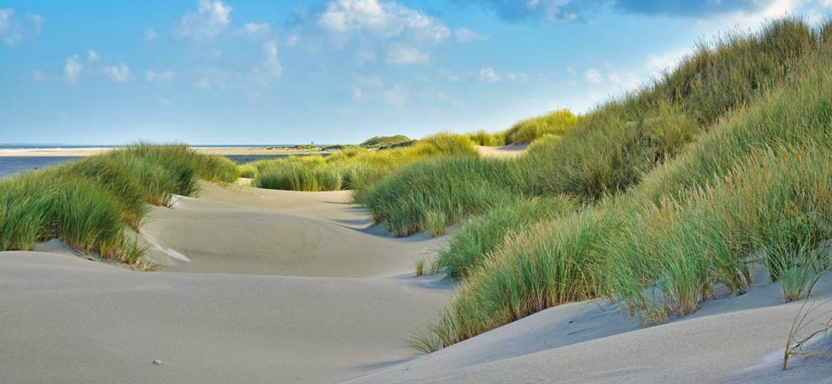 Ausflugsziele rund um Texel