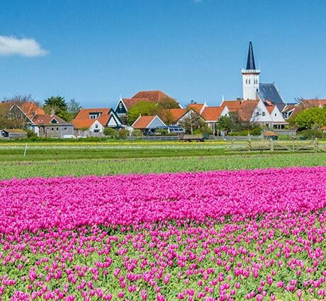 Flora, Fauna und Landschaft auf Texel