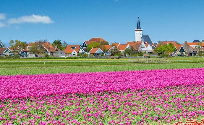 Flora, Fauna und Landschaft auf Texel