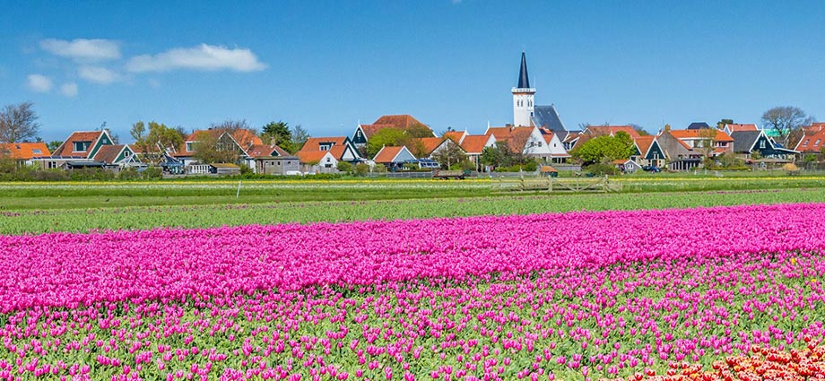 Flora, Fauna und Landschaft auf Texel