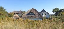 Texel Ferienhaus mit WLAN buchen