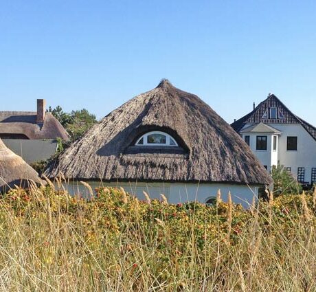 Texel Ferienhaus mit WLAN buchen