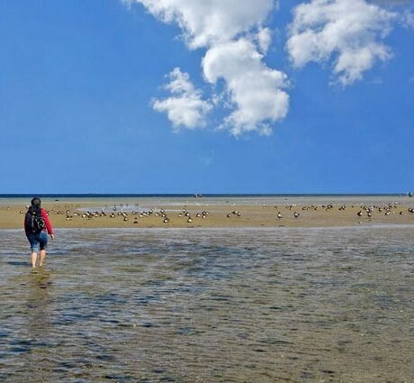 Wandern und Radfahren auf Texel