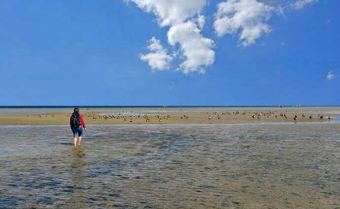 Wandern und Radfahren auf Texel